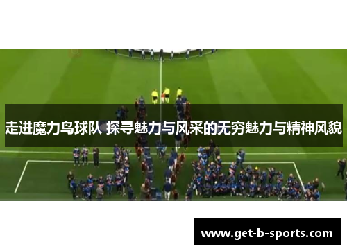 走进魔力鸟球队 探寻魅力与风采的无穷魅力与精神风貌